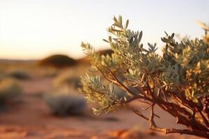 ai generado arbusto planta en kgalagadi transfronterizo parque sur África foto