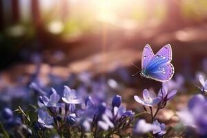 ai generado macro imagen de púrpura mariposa en blanco Violeta flores foto