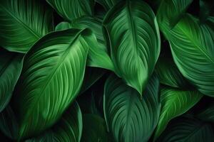 AI generated Green leaf texture on tropical background. photo