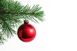 ai generado soltero rojo Navidad vaso pelota colgando desde un pino rama aislado en blanco con Copiar espacio. foto
