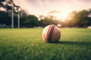 AI generated Closeup view of cricket pitch by S. Dev photo