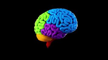 3D Animated Human Brain Loop video