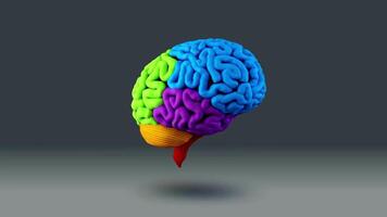 3D Animated Human Brain Loop video