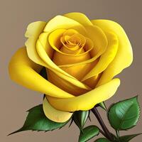 AI generated image of a yellow rose flower on a gray background, AI generation photo