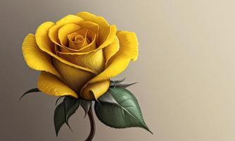 AI generated image of a yellow rose flower on a gray background, AI generation photo