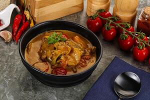 Yellow THai curry with beef photo