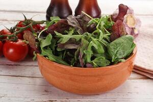 Mix salad in the bowl photo