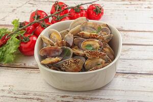 Vongole shellfish mollusc clem with butter photo