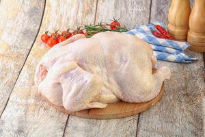 Whole raw chicken for cooking photo