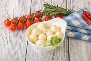 Mozzarella cheese balls in the bowl photo