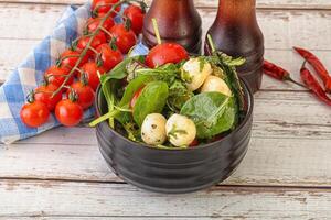 Mix salad with mozzarella and tomato photo