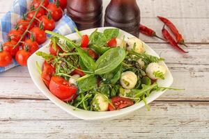 Mix salad with mozzarella and tomato photo