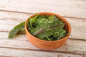 Green mix salad in the bowl photo