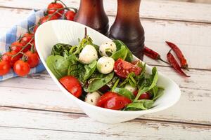 Mix salad with mozzarella and tomato photo
