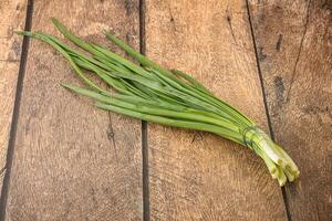 Raw young green onion heap photo