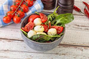 Mix salad with mozzarella and tomato photo