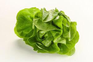 Salad leaves heap for snack photo