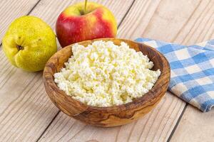 Organic cottage cheese in the bowl photo