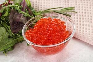 Red caviar in the bowl photo