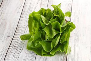 Salad leaves heap for snack photo