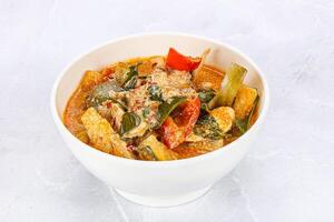 Thai red spicy curry with chicken photo