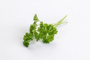 Green parsley leaves heap isolated photo