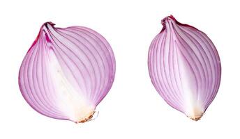 Top view and flat lay of red onion half and slice or quarter isolated on white background with clipping path photo