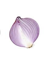 Top view and flat lay of red onion half or slice isolated on white background with clipping path photo