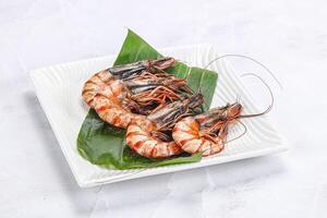 Cooked tiger prawn in the pate photo