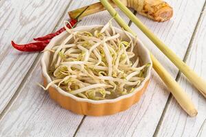 Asian cuisine Mash bean sprout photo