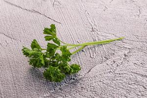 Green parsley leaves heap isolated photo