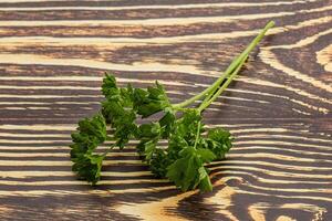 Green parsley leaves heap isolated photo