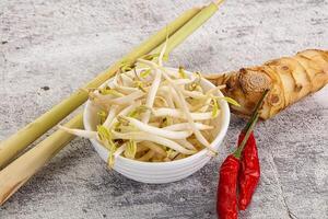 Asian cuisine Mash bean sprout photo