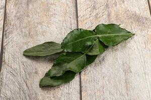 Aroma seasoning kaffir lime leaves photo