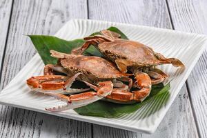 Yummy boiled crab in the plate photo