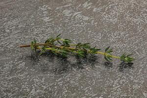 Aroma seasoning thyme stem with leaves photo