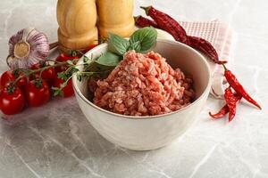 Raw minced pork uncooked meat photo