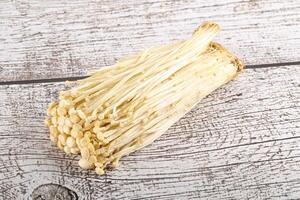 Tasty raw enoki mushroom heap photo