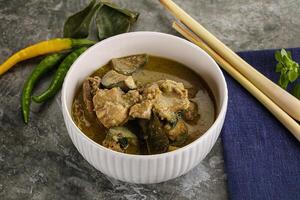 Thai green curry soup with basil photo