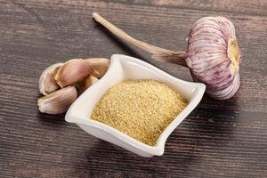 Dry granulated garlic aroma seasoning photo