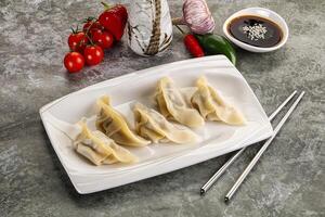 Japanese cuisine - dumplings gyoza with sauce photo