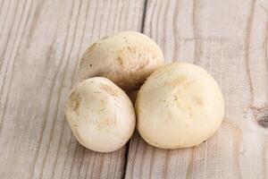 Natural organic ripe champignon mushrooms photo