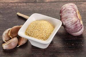 Dry granulated garlic aroma seasoning photo