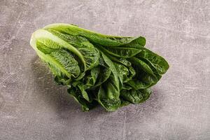 Green fresh juicy Romano salad photo