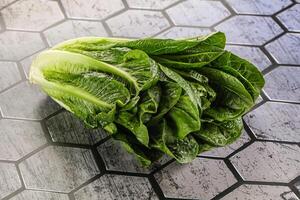 Green fresh juicy Romano salad photo