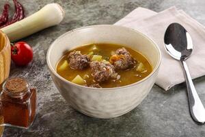 Soup with beef meatball and vegetables photo