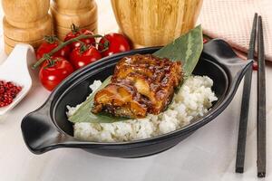 Grilled eel with steamed rice photo