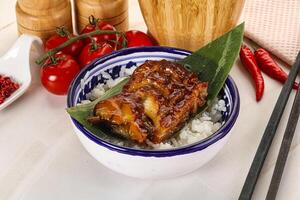 Grilled eel with steamed rice photo