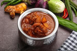 Indian cuisine - spicy chicken vindaloo photo