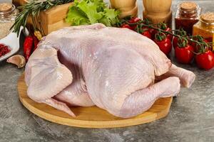 Raw whole chicken for cooking photo